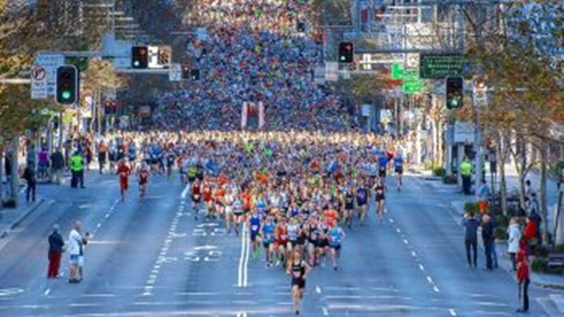 City2Surf runners